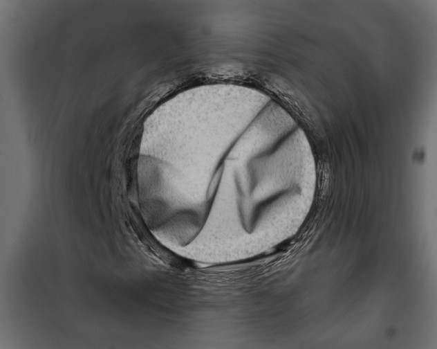 X0000099951153200806201306