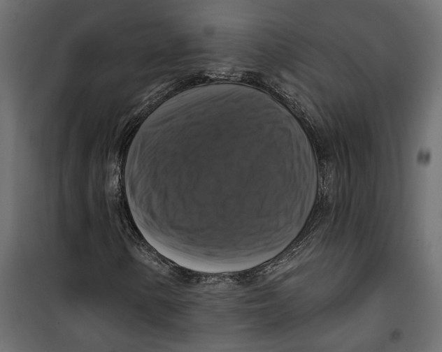 X0000099951154200806201306
