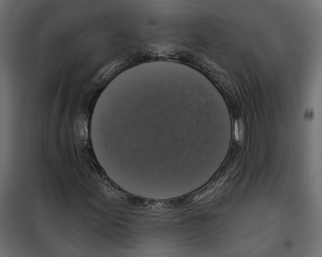 X0000099951155200806201306