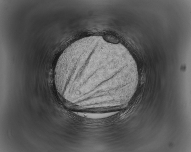 X0000099951156200806201306