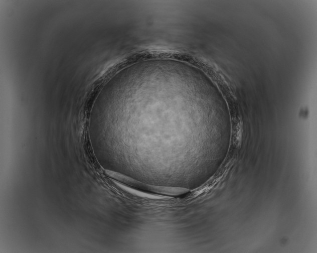 X0000099951157200806201306