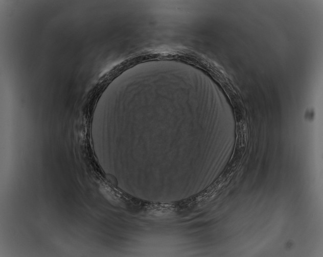 X0000099951158200806201306