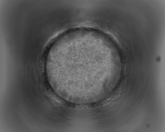 X0000099951159200806201306