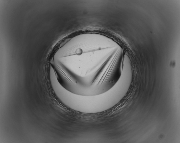 X0000099951160200806201306