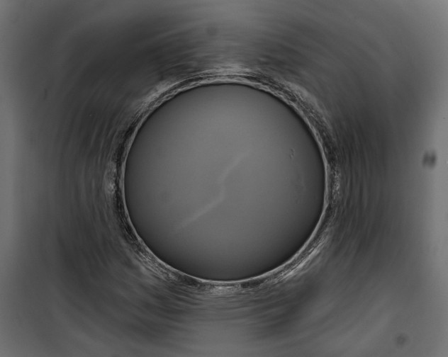 X0000099951161200806201306