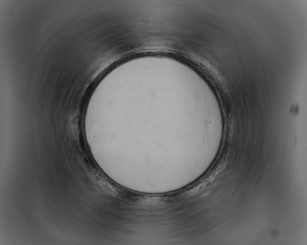 X0000099951162200806201306