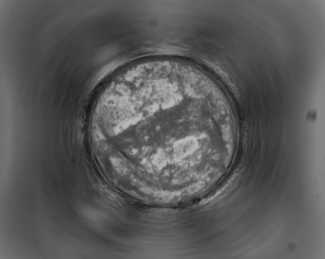 X0000099951163200806201306