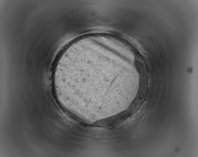 X0000099951164200806201306
