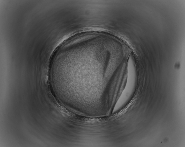 X0000099951165200806201306