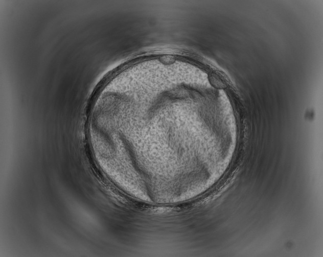 X0000099951166200806201306