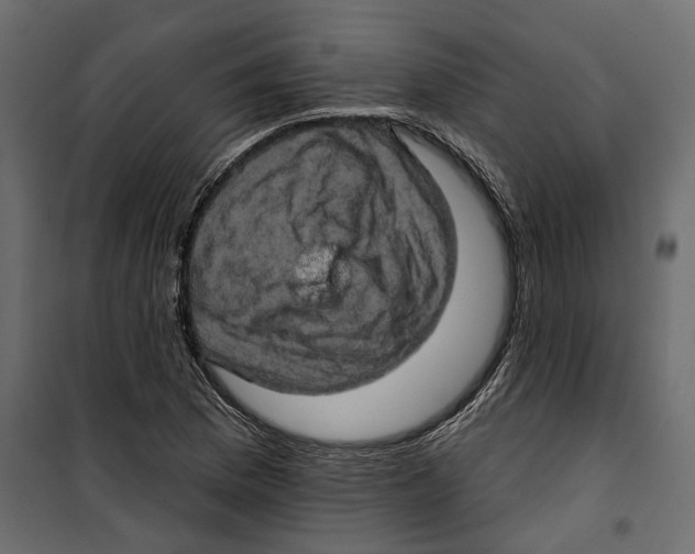 X0000099951169200806201306