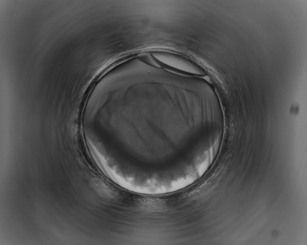 X0000099951170200806201306