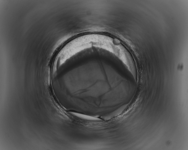 X0000099951171200806201306