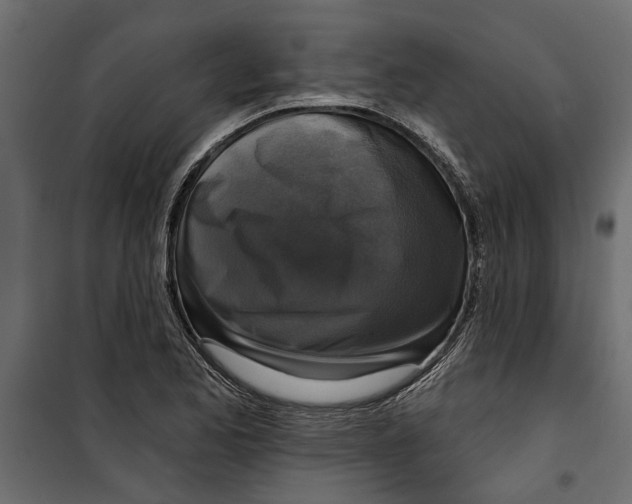 X0000099951173200806201306