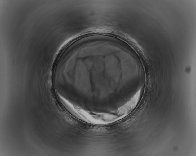 X0000099951174200806201306