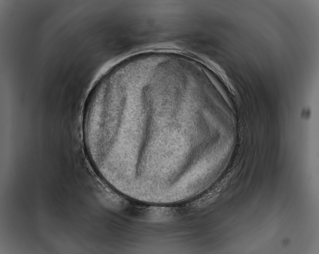 X0000099951176200806201306