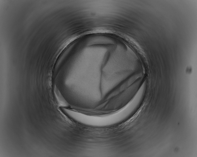X0000099951177200806201306