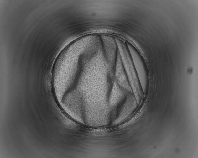 X0000099951178200806201306