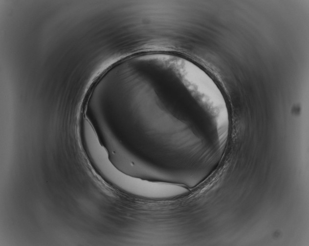 X0000099951179200806201306