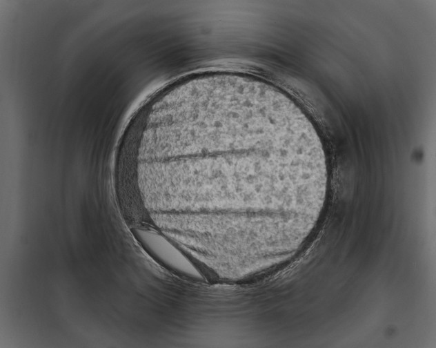 X0000099951180200806201306