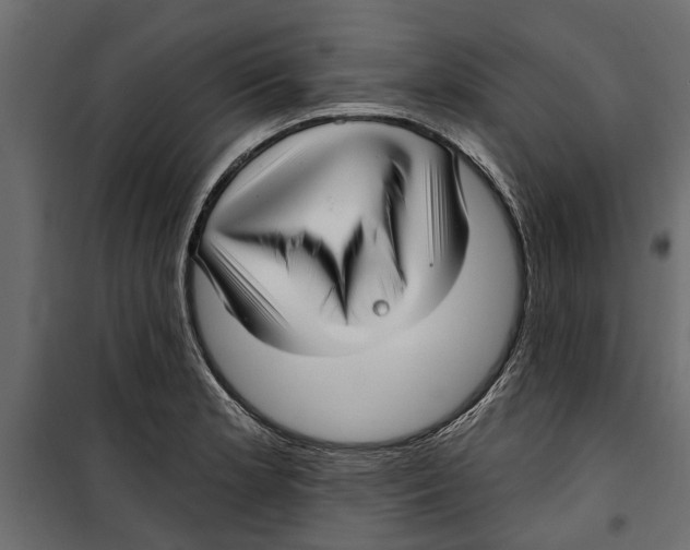 X0000099951181200806201306
