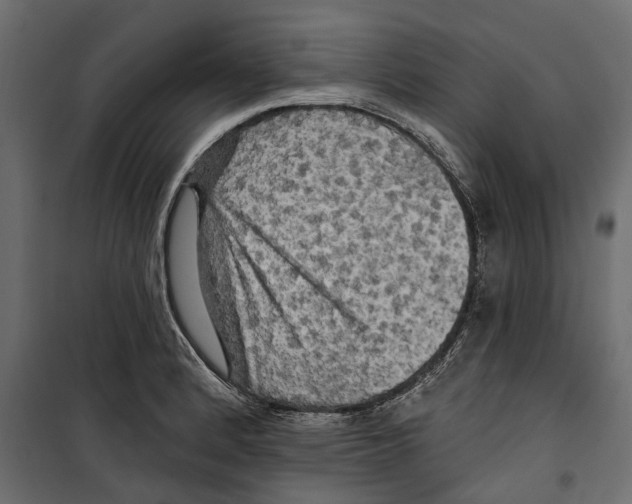 X0000099951184200806201306