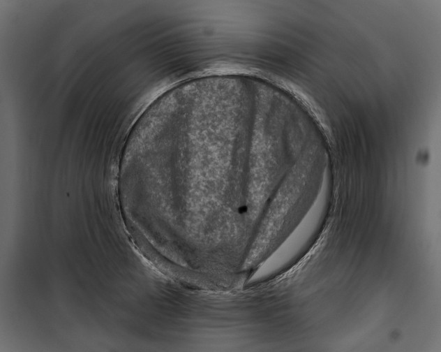 X0000099951185200806201306