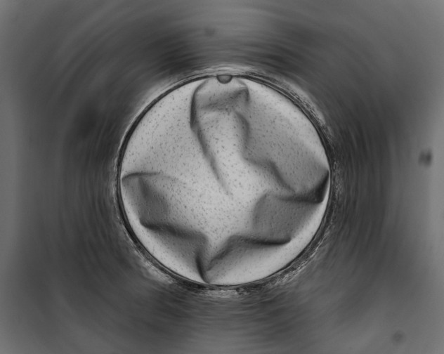 X0000099951186200806201306