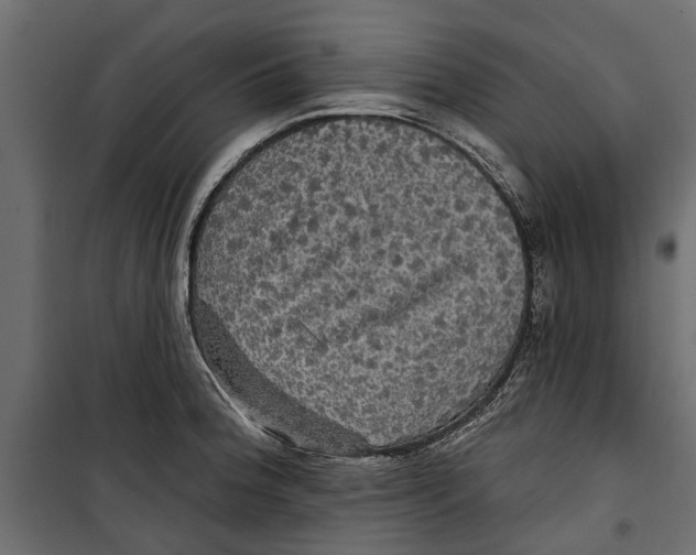 X0000099951188200806201306