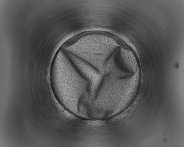 X0000099951189200806201306