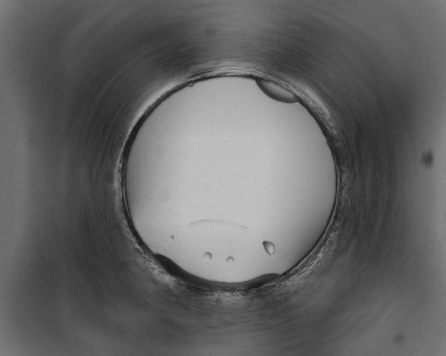 X0000099951190200806201306