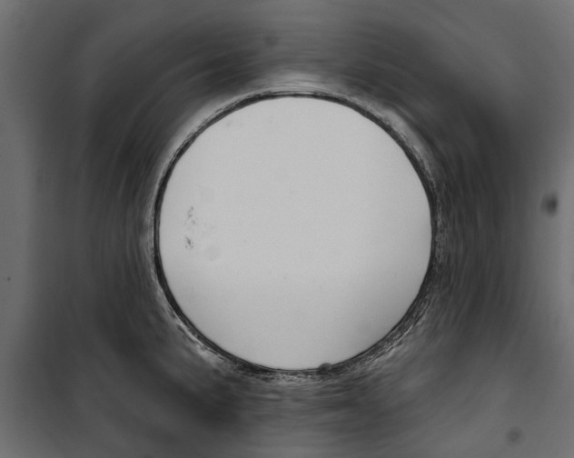 X0000099951191200806201306