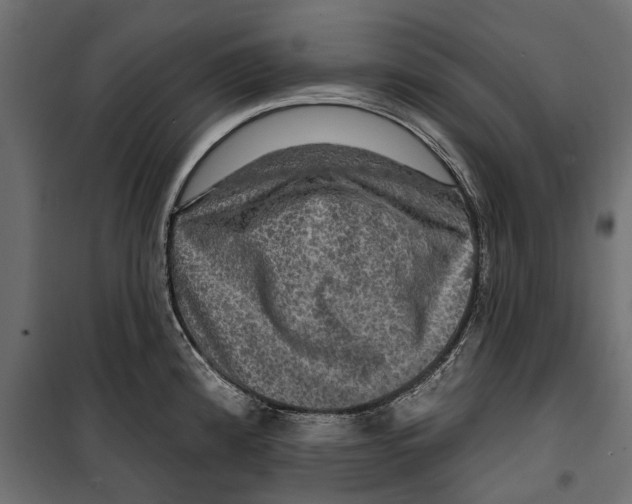 X0000099951192200806201306
