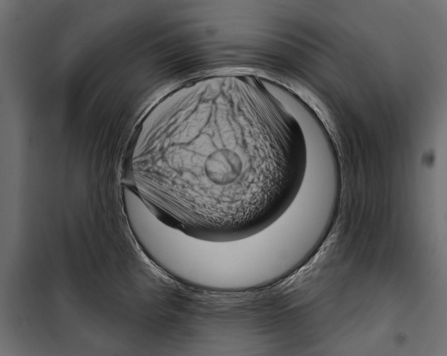 X0000099951193200806201306