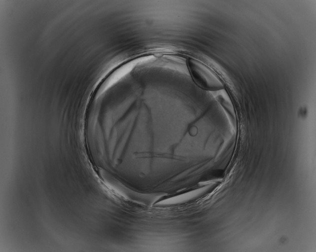 X0000099951194200806201306