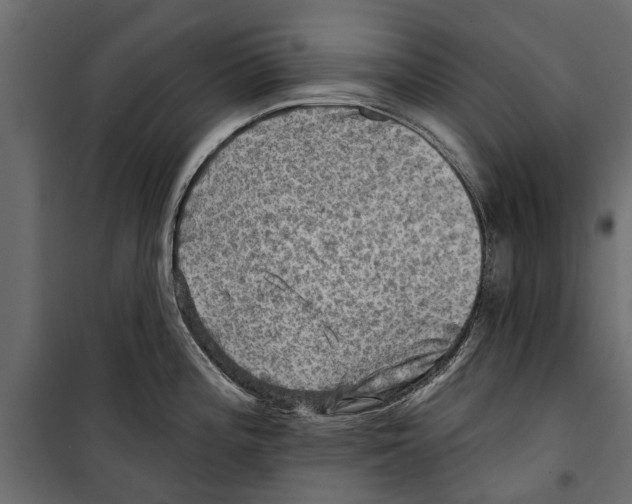 X0000099951196200806201306