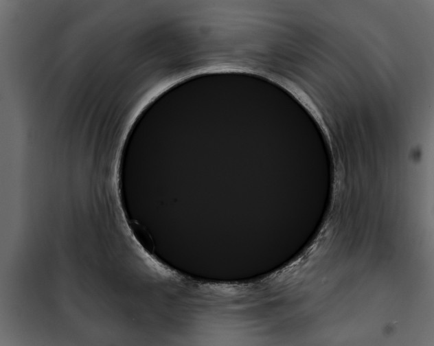 X0000099951197200806201306