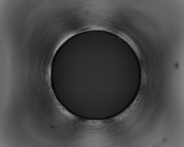 X0000099951198200806201306