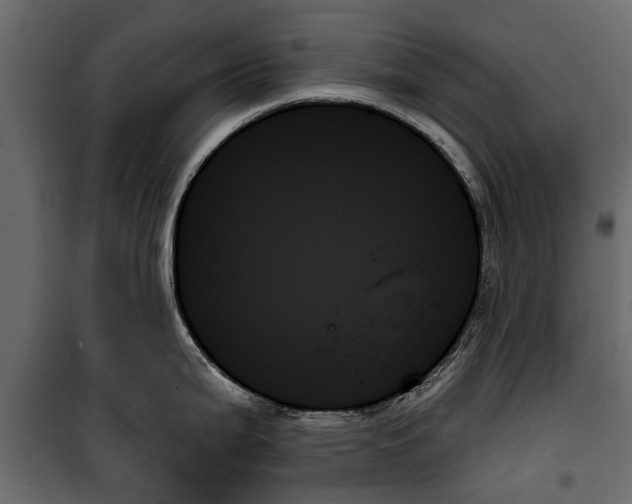 X0000099951199200806201306