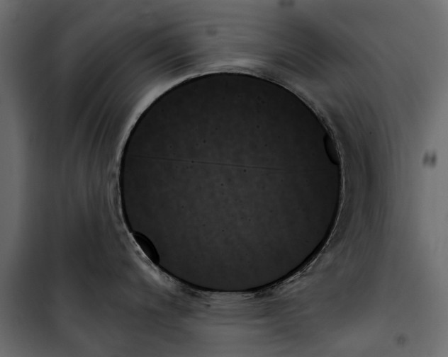 X0000099951200200806201306