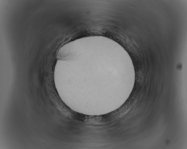 X0000099951201200806201305