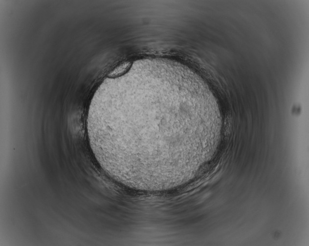 X0000099951202200806201305