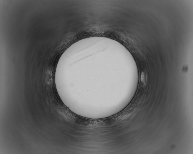 X0000099951203200806201305