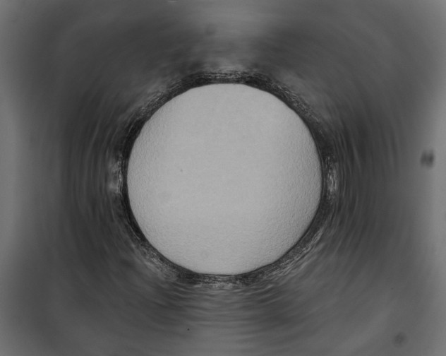 X0000099951204200806201305