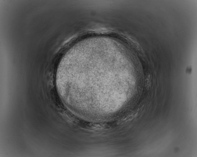 X0000099951205200806201305