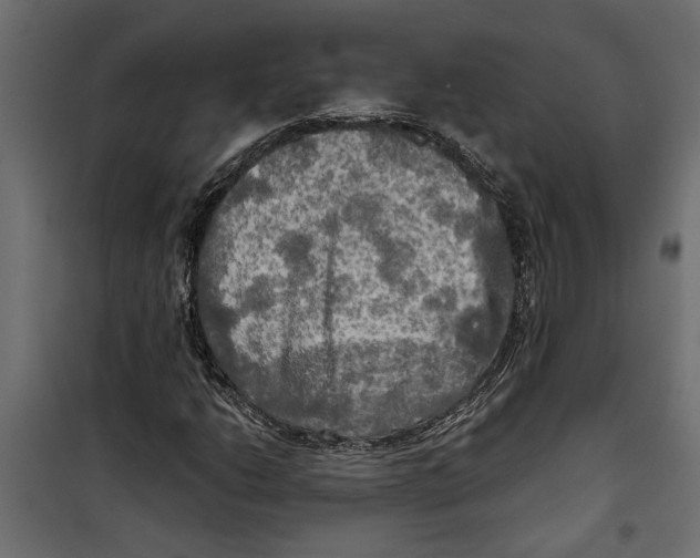X0000099951206200806201305