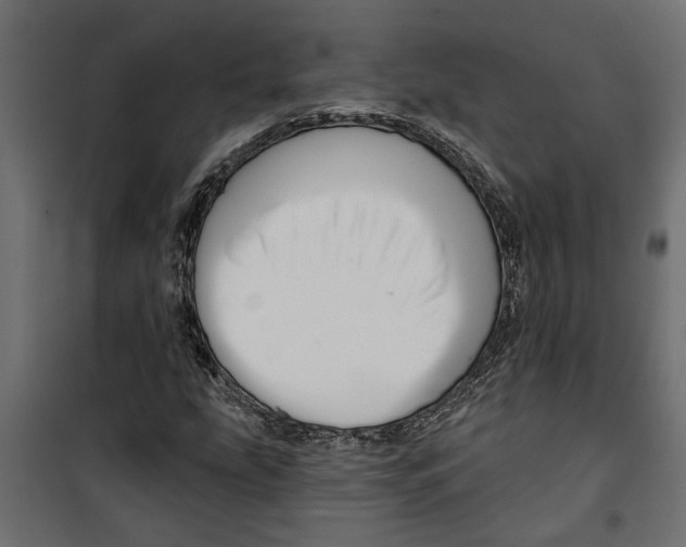 X0000099951207200806201305