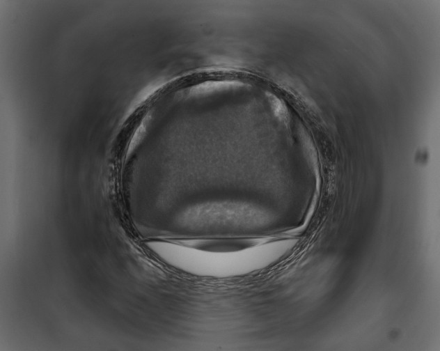 X0000099951208200806201305