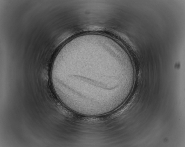 X0000099951209200806201305