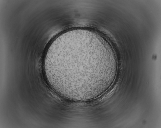 X0000099951210200806201305